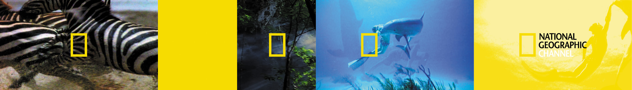 National Geographic Channel Channel Branding Package Concept