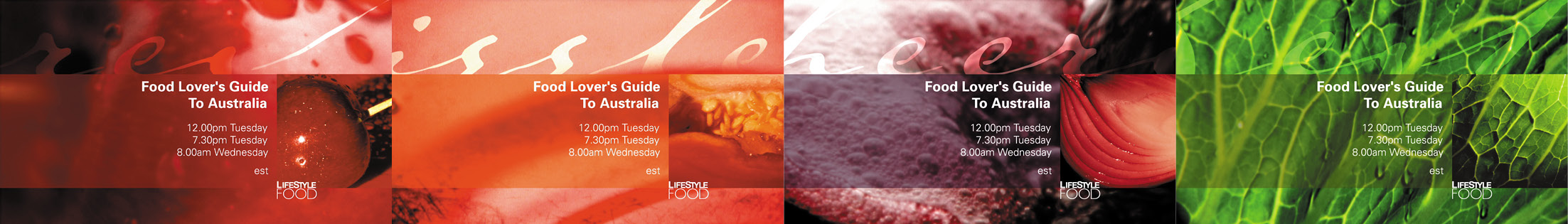 LifeStyleFOOD Channel Branding Package