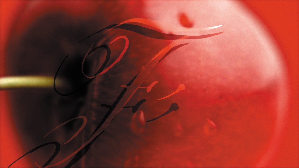 LifeStyleFOOD Channel Branding Package