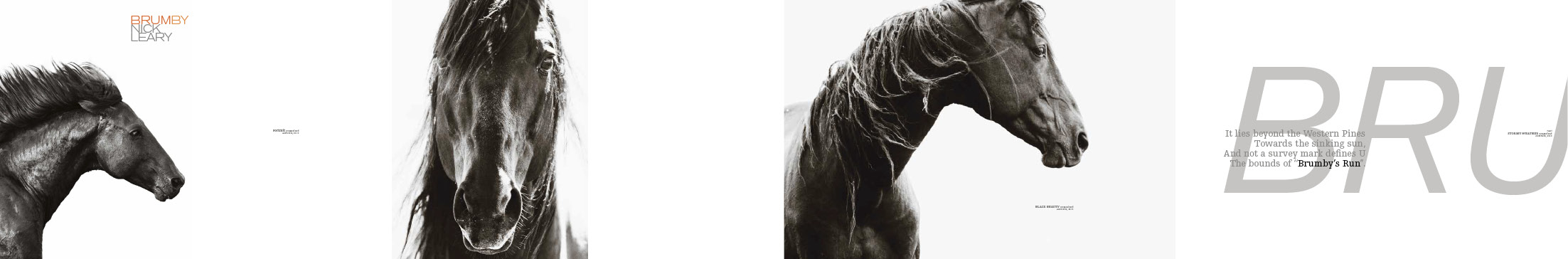 Brumby Book