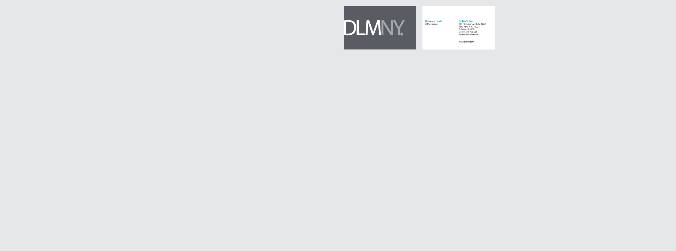DLMNY Branding Package